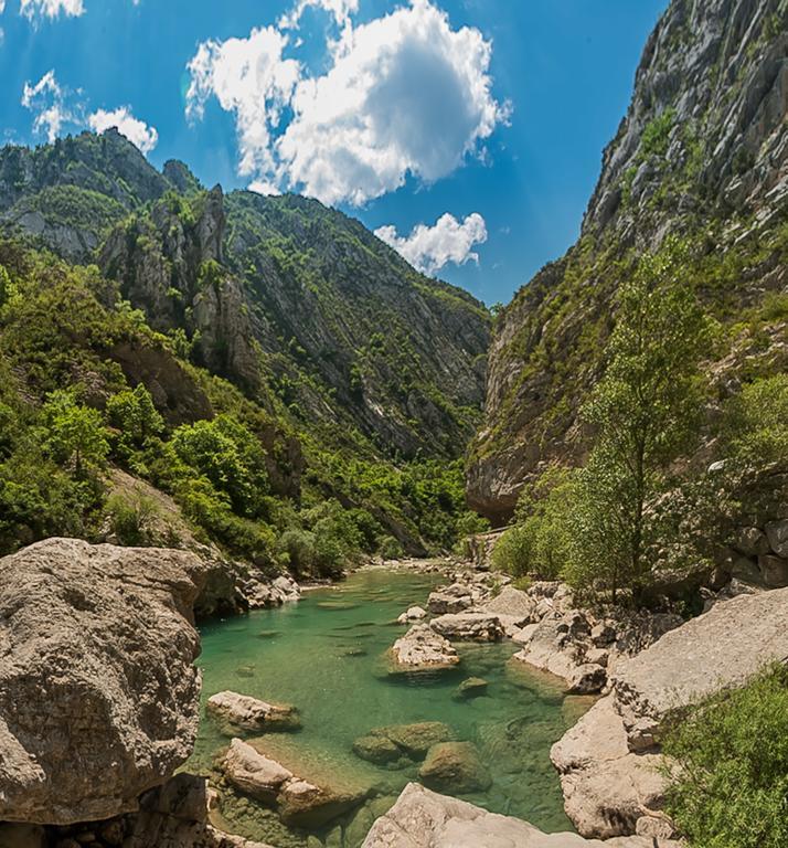 Villa Lorraine Vence Kültér fotó